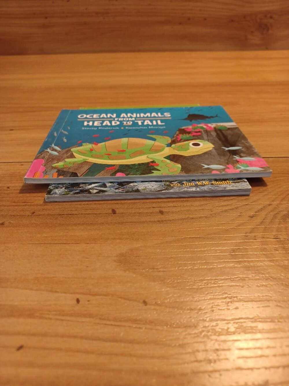 Ocean Animals From Head To Tail By Stacey Roderick Book - Picture 2 of 6